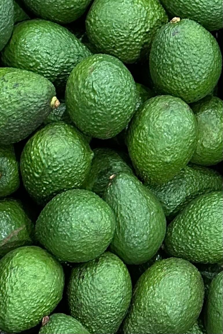 Avocado — Brazilian fresh produce for export to Europe